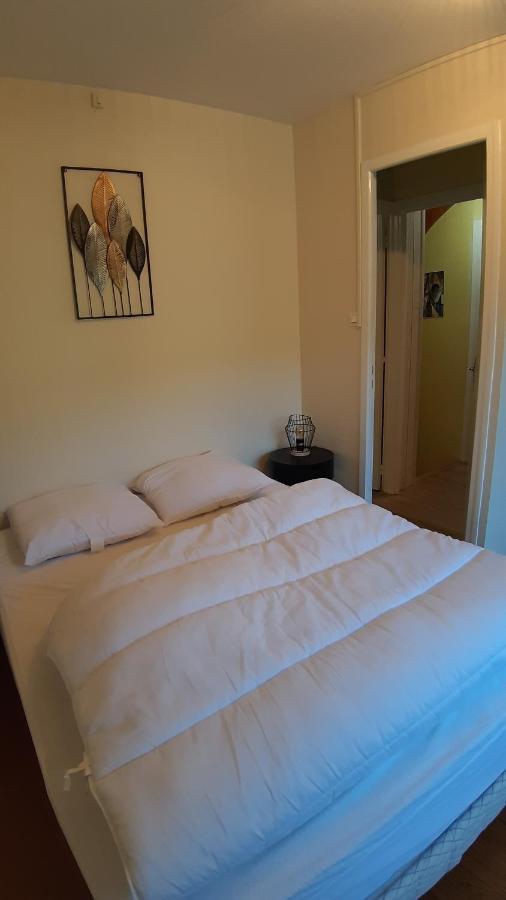 Maison 6-9 Pers Pour Vacances Et Cure Thermale Le Mont-Dore Exterior foto