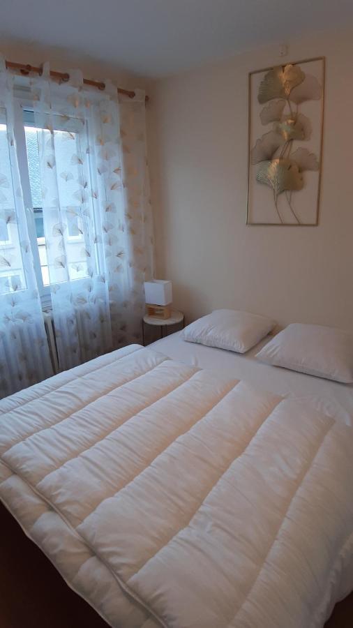 Maison 6-9 Pers Pour Vacances Et Cure Thermale Le Mont-Dore Exterior foto